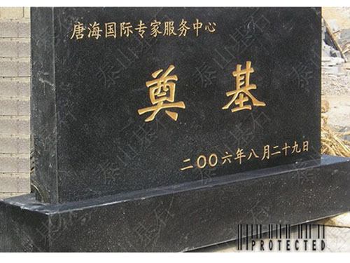 天津唐海國際工程