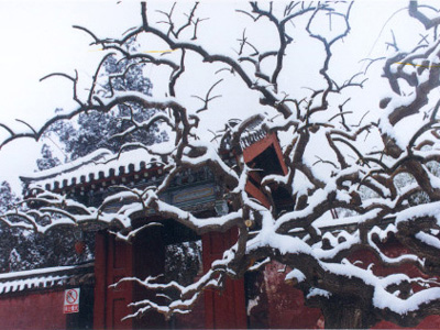 岱廟雪景
